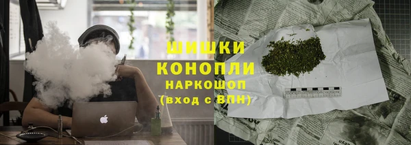 гидропоника Белокуриха