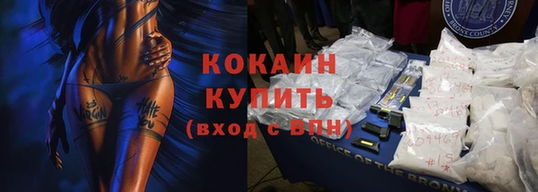 сатива Белоозёрский