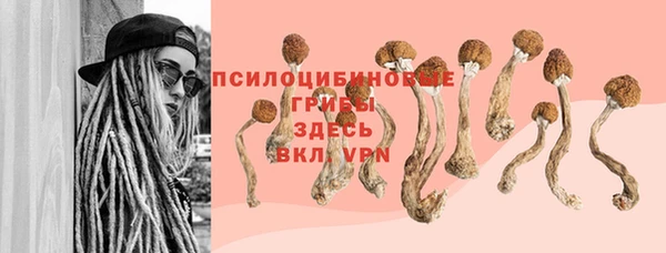 мдма Туринск