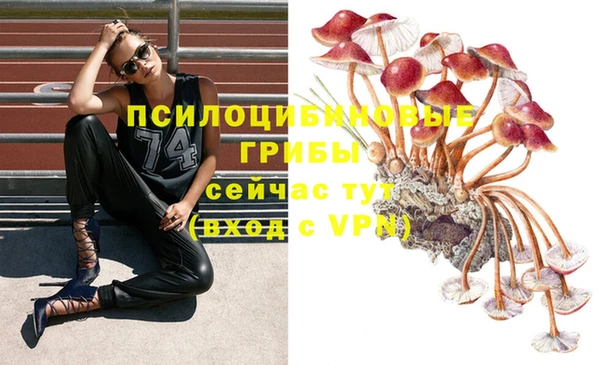 сатива Белоозёрский