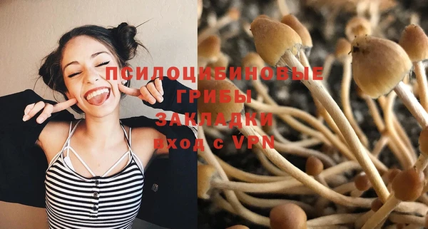эйфоретик Богородицк