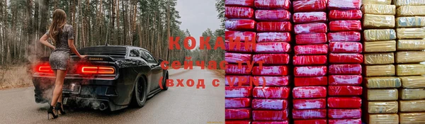 гидропоника Белокуриха