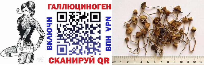 Галлюциногенные грибы Cubensis  Вязники 