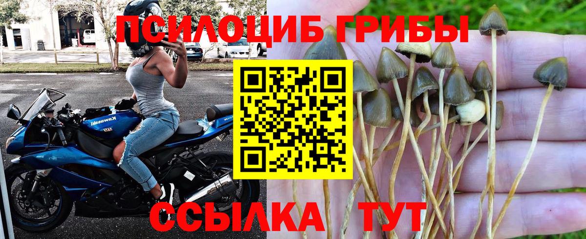 Галлюциногенные грибы GOLDEN TEACHER  Галлюциногенные грибы мухоморы  Вязники  Вход с VPN 