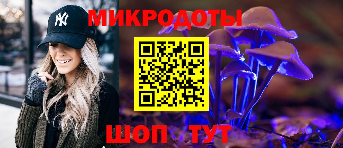 Псилоцибиновые грибы Psilocybe Вязники